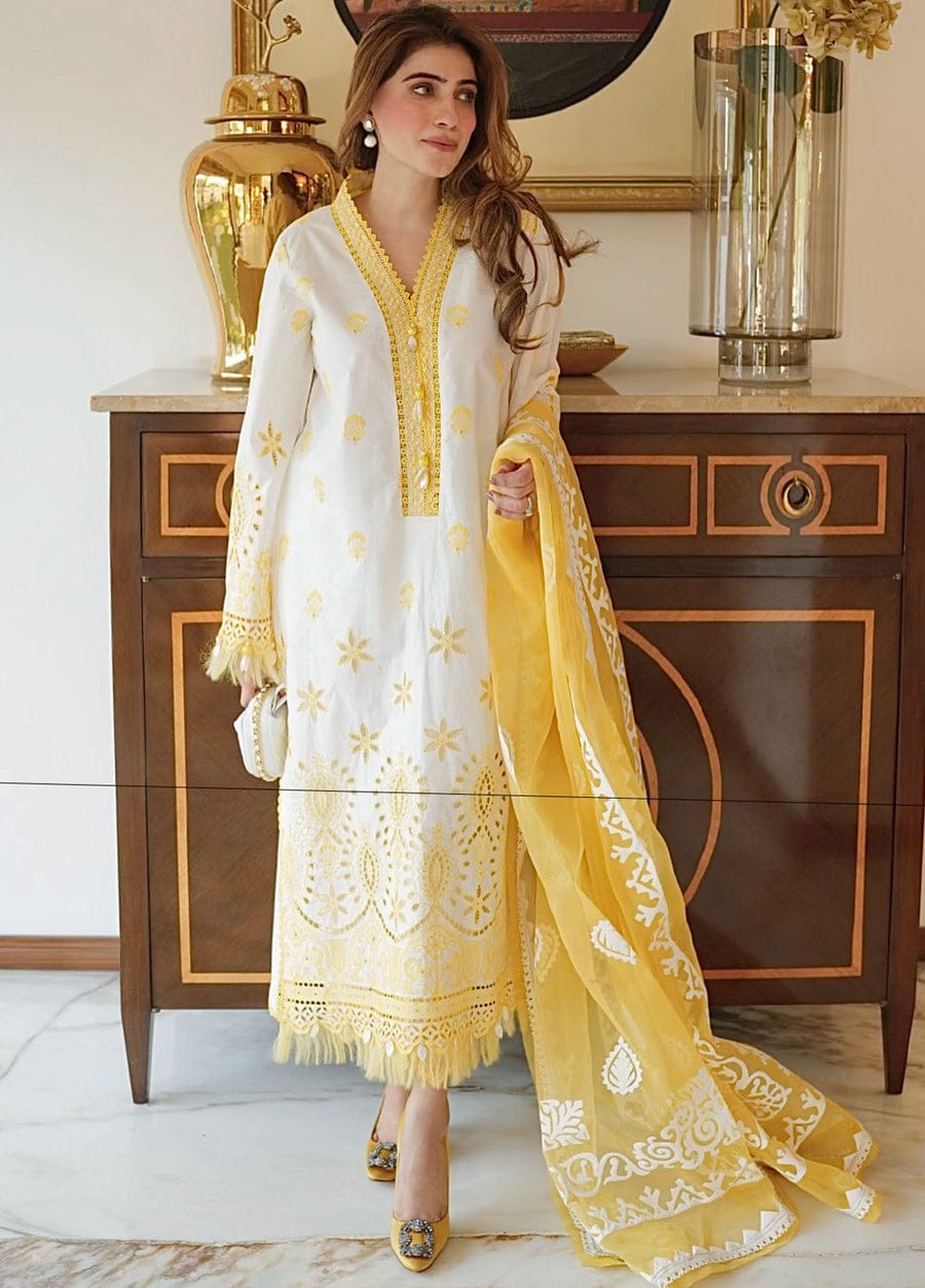 Embroidered Schiffli 3 Piece Suit