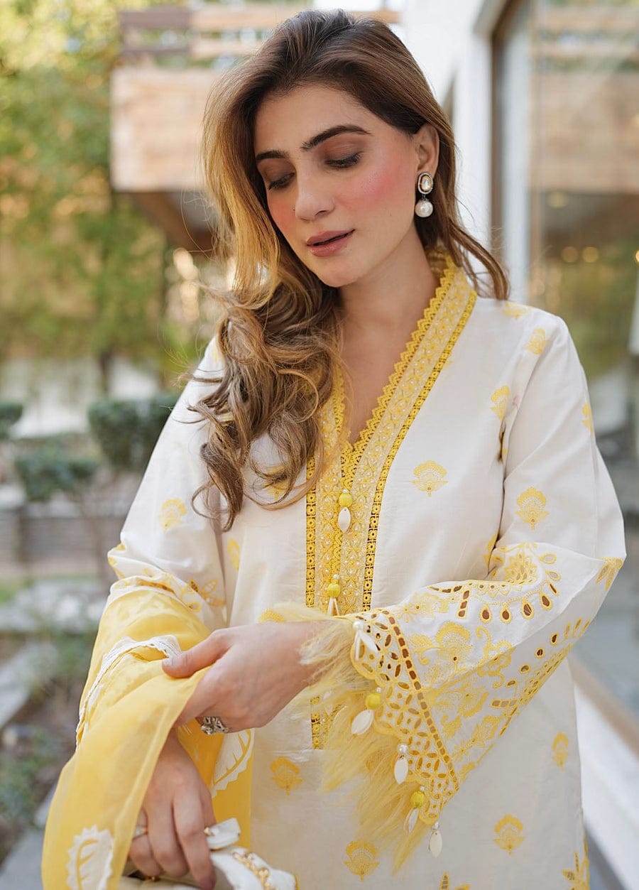 Embroidered Schiffli 3 Piece Suit